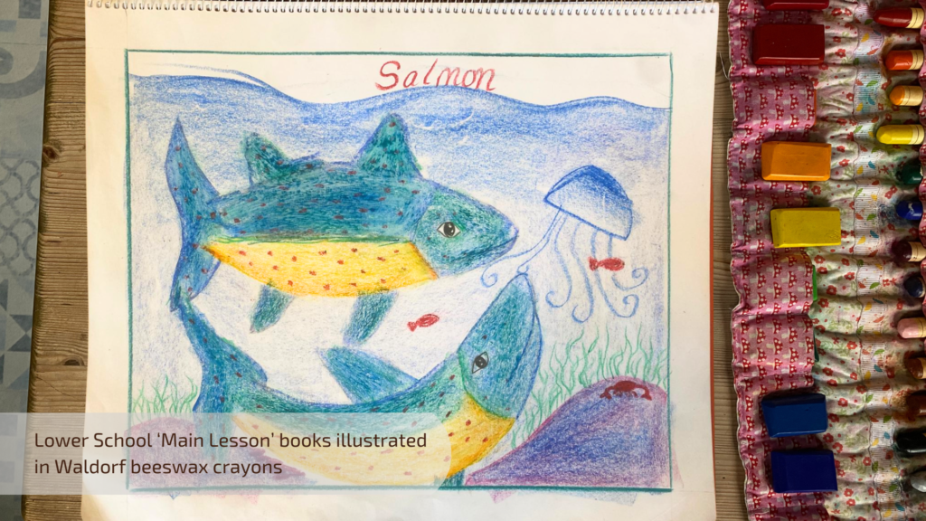 Arts at Edinburgh Steiner School (1)