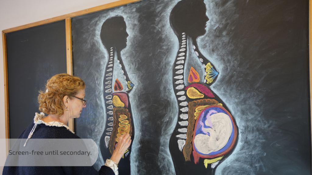 Arts at Edinburgh Steiner School (5)